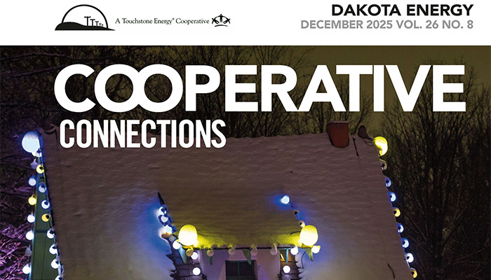 DEC Cooperative Connections monthly newsletter
